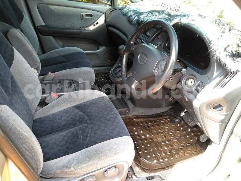 Big with watermark 60590429 1326798004134935 746889998116061184 n