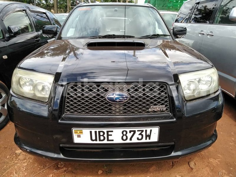 Big with watermark 60710465 1326666880814714 3825147716913070080 n