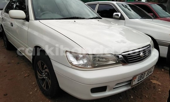 Buy Used Toyota Premio White Car in Kampala in Uganda Buy Used Toyota Premio White Car in Kampala in Uganda