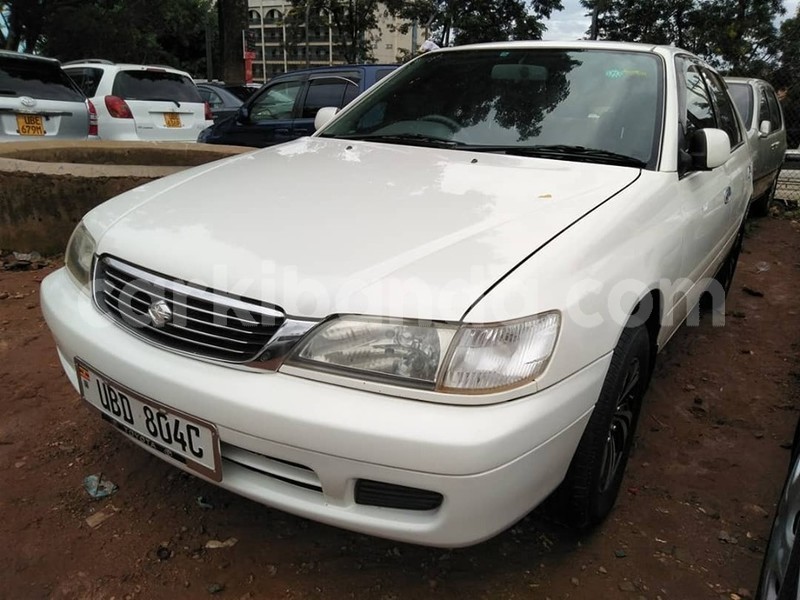 Big with watermark 60676917 1326663487481720 6321386806747070464 n