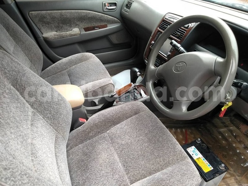 Big with watermark 60517523 1326663400815062 7056645363410665472 n