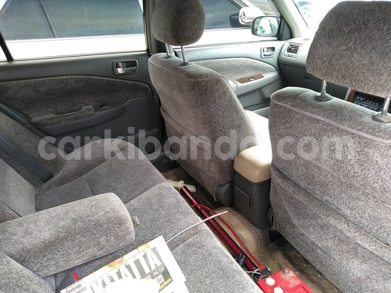 Big with watermark 60900881 1326663367481732 3726785514066411520 n