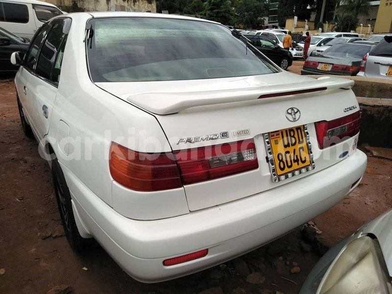 Big with watermark 60665088 1326663340815068 8165026141602578432 n