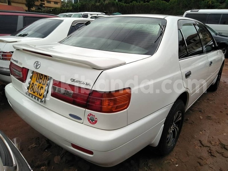 Big with watermark 60719419 1326663310815071 3883820406150266880 n