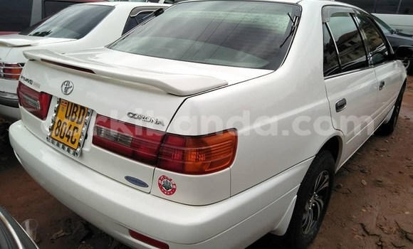 Buy Used Toyota Premio White Car in Kampala in Uganda Buy Used Toyota Premio White Car in Kampala in Uganda
