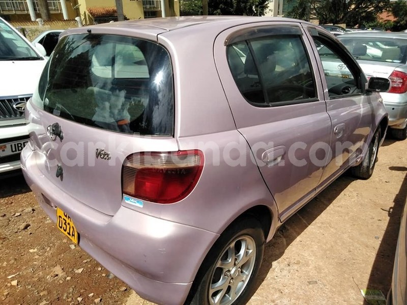 Big with watermark 61178795 1326647704149965 3452178134227484672 n