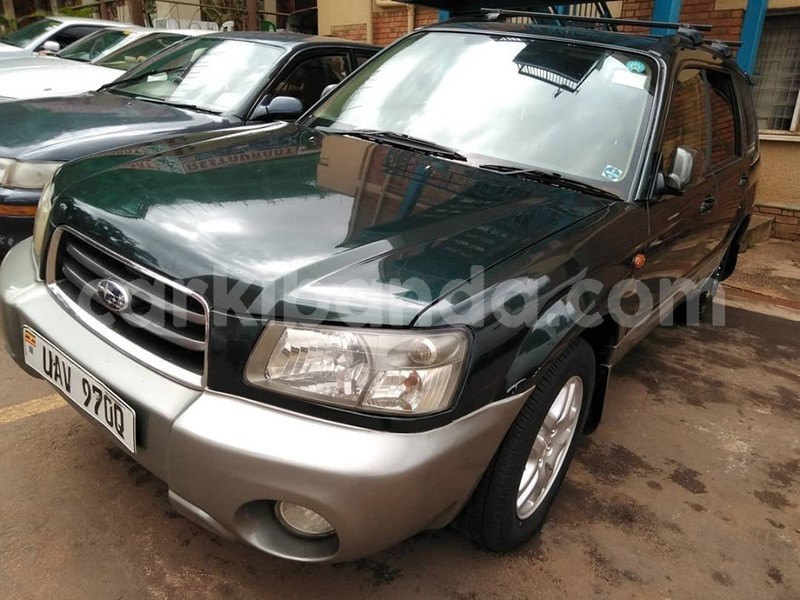 Big with watermark 60832674 1325906730890729 4802291388509061120 n