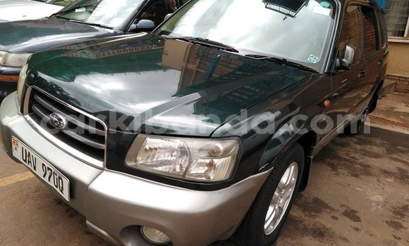 Buy Used Subaru Forester Green Car in Kampala in Uganda Buy Used Subaru Forester Green Car in Kampala in Uganda