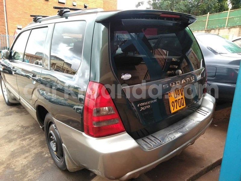 Big with watermark 60462762 1325906774224058 903329414459162624 n