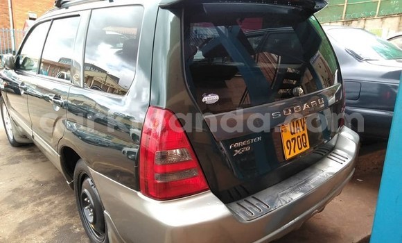 Buy Used Subaru Forester Green Car in Kampala in Uganda Buy Used Subaru Forester Green Car in Kampala in Uganda