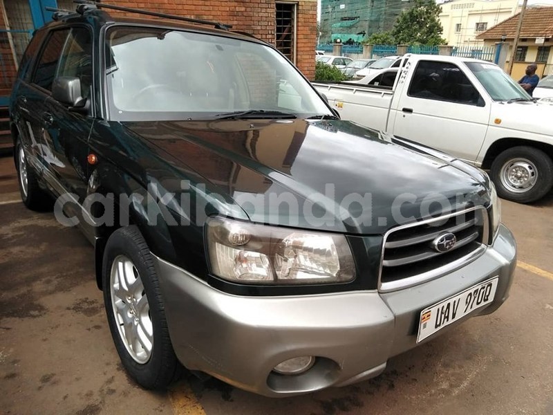 Big with watermark 60984247 1325906534224082 3856965891203792896 n