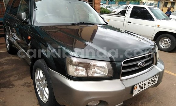 Buy Used Subaru Forester Green Car in Kampala in Uganda Buy Used Subaru Forester Green Car in Kampala in Uganda
