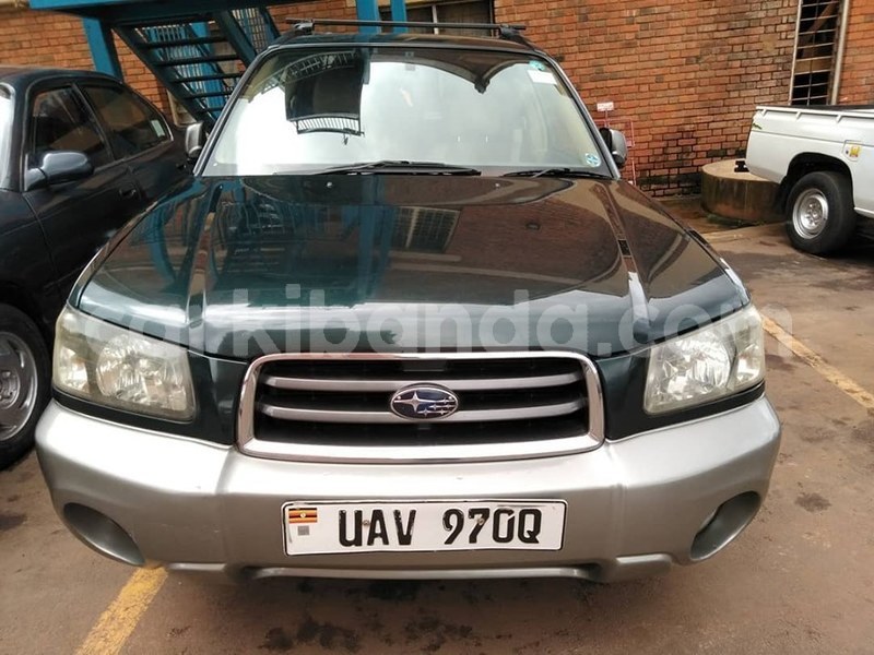 Big with watermark 60646298 1325906497557419 2020483711325175808 n