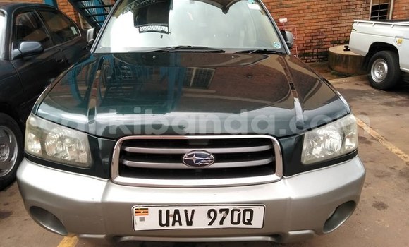 Buy Used Subaru Forester Green Car in Kampala in Uganda Buy Used Subaru Forester Green Car in Kampala in Uganda