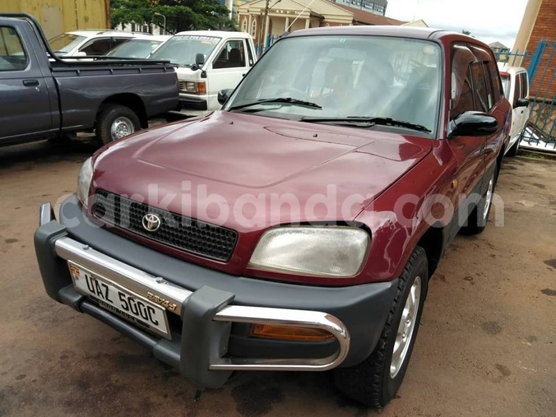 Big with watermark 60638133 1325903964224339 3156438995601195008 n