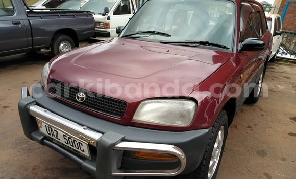 Buy Used Toyota RAV4 Red Car in Kampala in Uganda Buy Used Toyota RAV4 Red Car in Kampala in Uganda