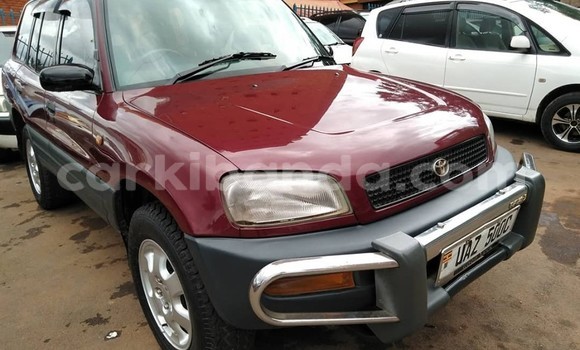Buy Used Toyota RAV4 Red Car in Kampala in Uganda Buy Used Toyota RAV4 Red Car in Kampala in Uganda