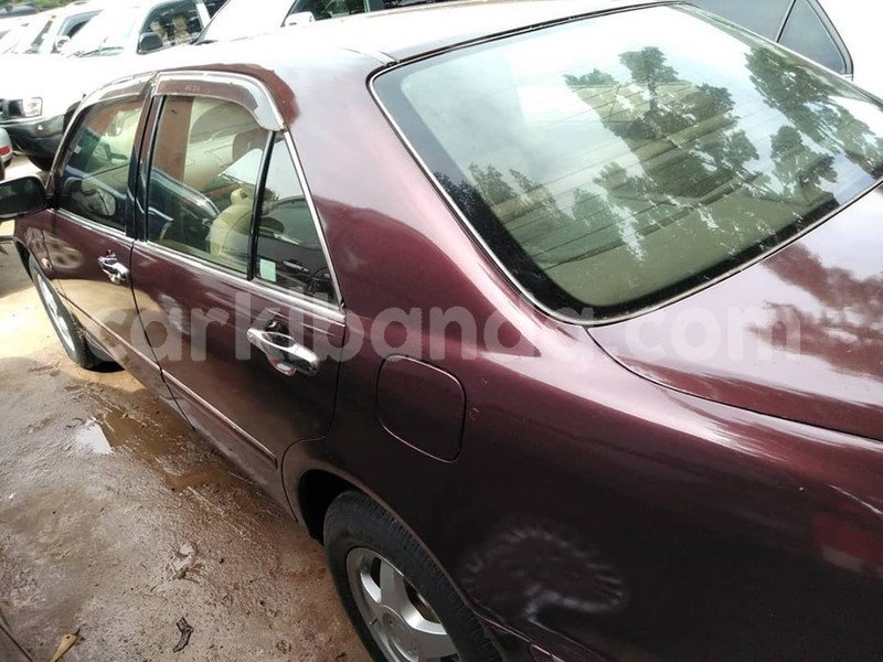 Big with watermark 60535034 1322910751190327 7225195187369148416 n