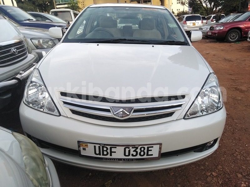 Big with watermark 60079611 1318674428280626 4049924791694524416 n