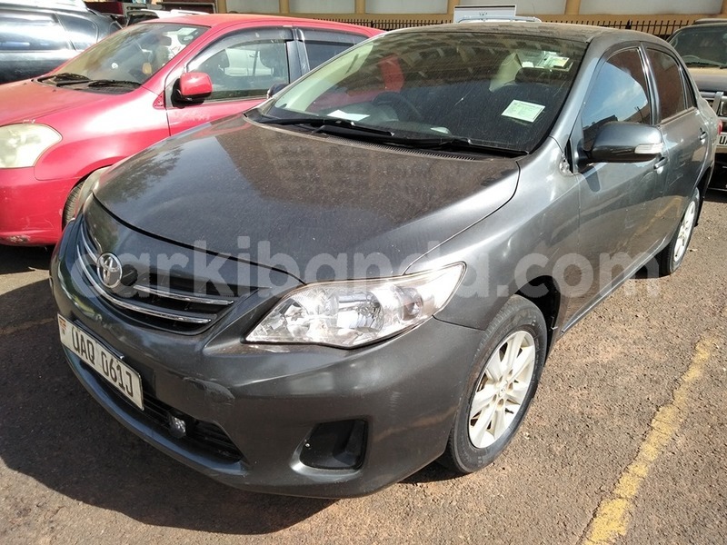 Big with watermark 59963905 1318503821631020 1115575956514275328 n 1 