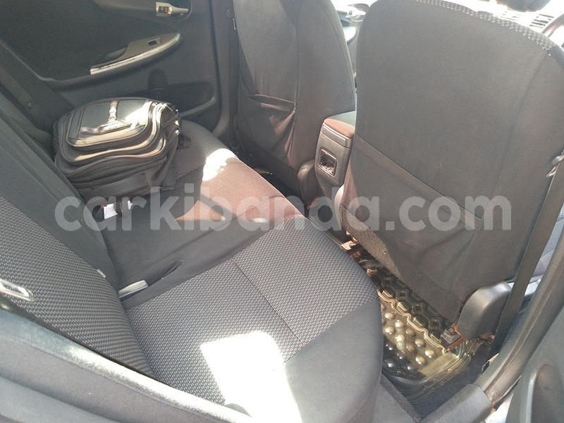 Big with watermark 59975920 1318504478297621 5050969556860796928 n