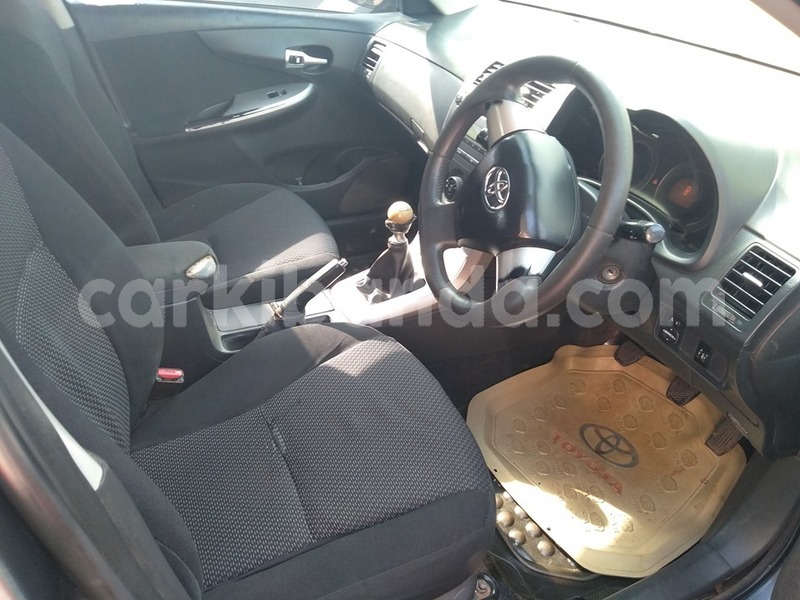 Big with watermark 60338443 1318504378297631 5002539016004829184 n