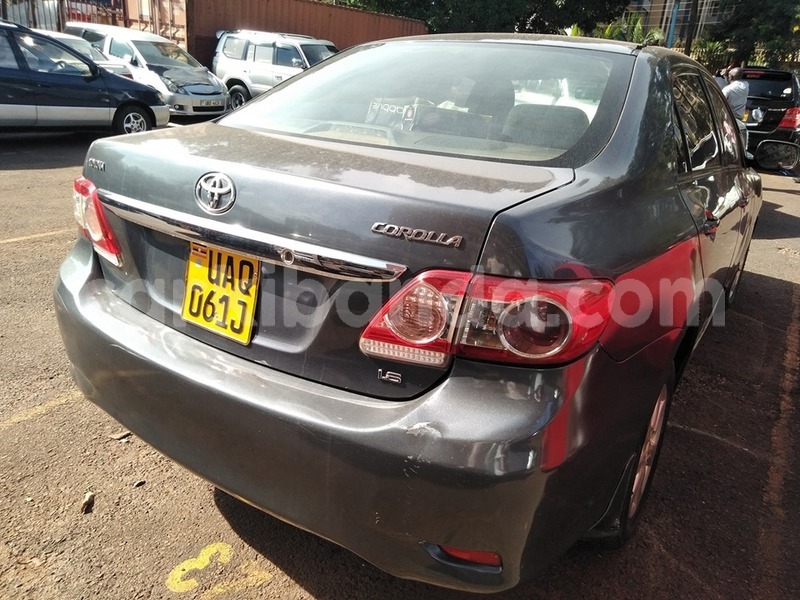 Big with watermark 59844638 1318504321630970 3971327444228505600 n