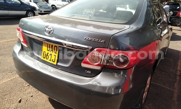 Buy Used Toyota Corolla Other Car in Kampala in Uganda Buy Used Toyota Corolla Other Car in Kampala in Uganda