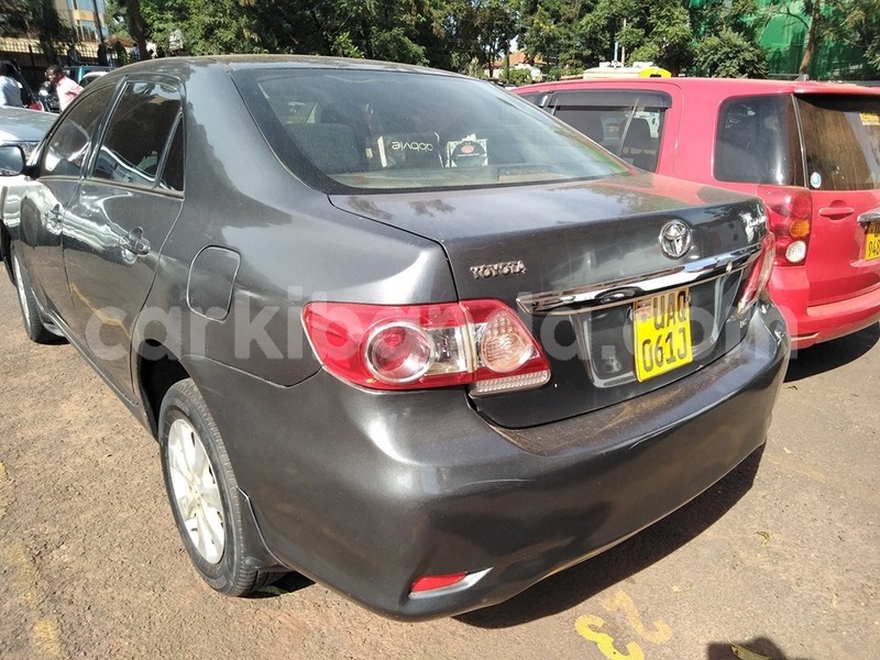 Big with watermark 60016595 1318504154964320 4034857402175062016 n