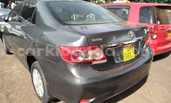 Buy Used Toyota Corolla Other Car in Kampala in Uganda Buy Used Toyota Corolla Other Car in Kampala in Uganda