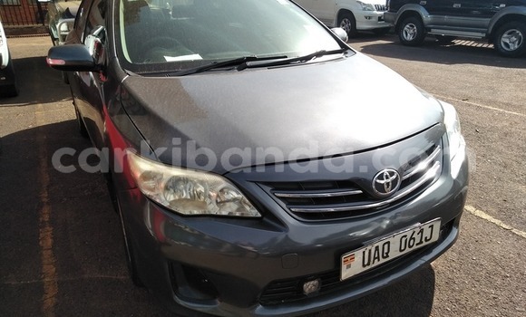 Buy Used Toyota Corolla Other Car in Kampala in Uganda Buy Used Toyota Corolla Other Car in Kampala in Uganda