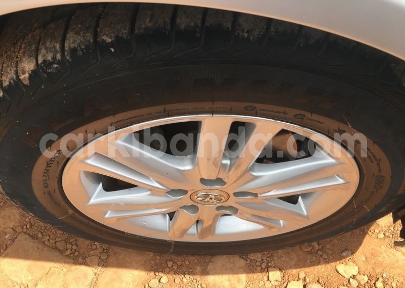 Big with watermark astyr8