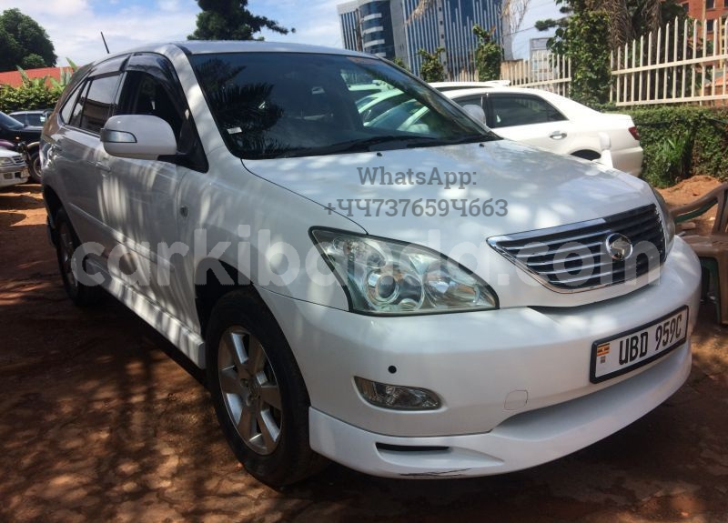 Big with watermark cart1 1 