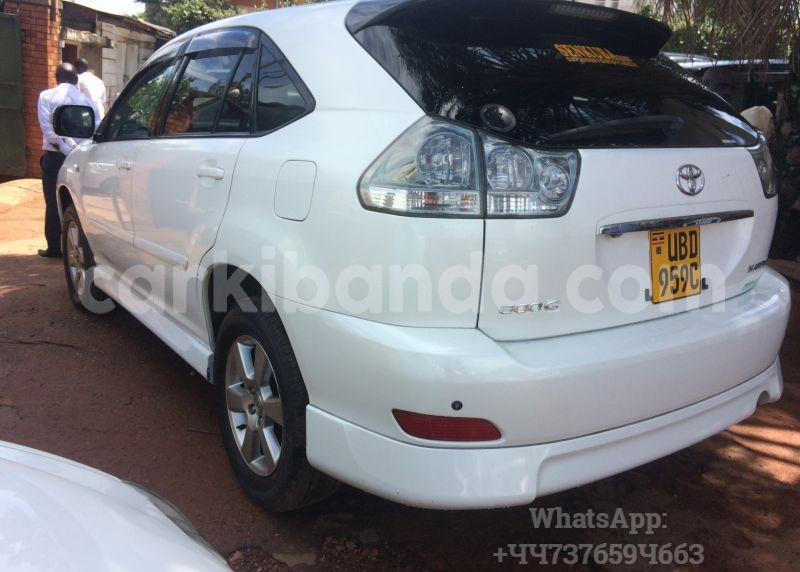 Big with watermark cart1 3 