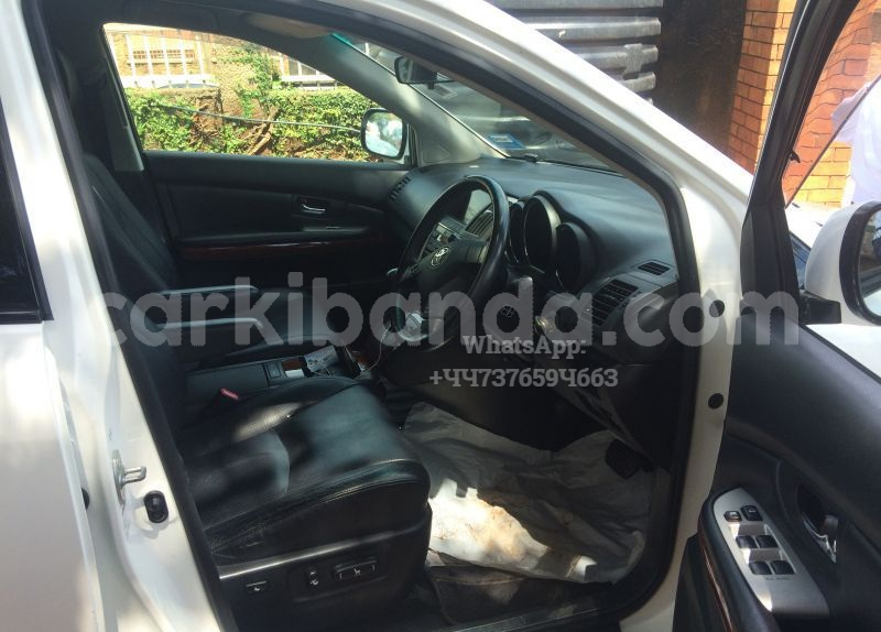 Big with watermark cart1 5 