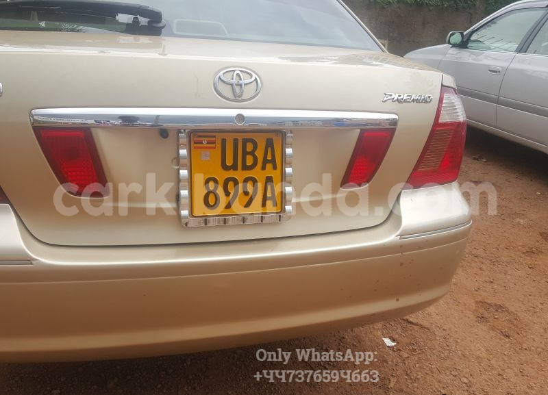 Big with watermark 2