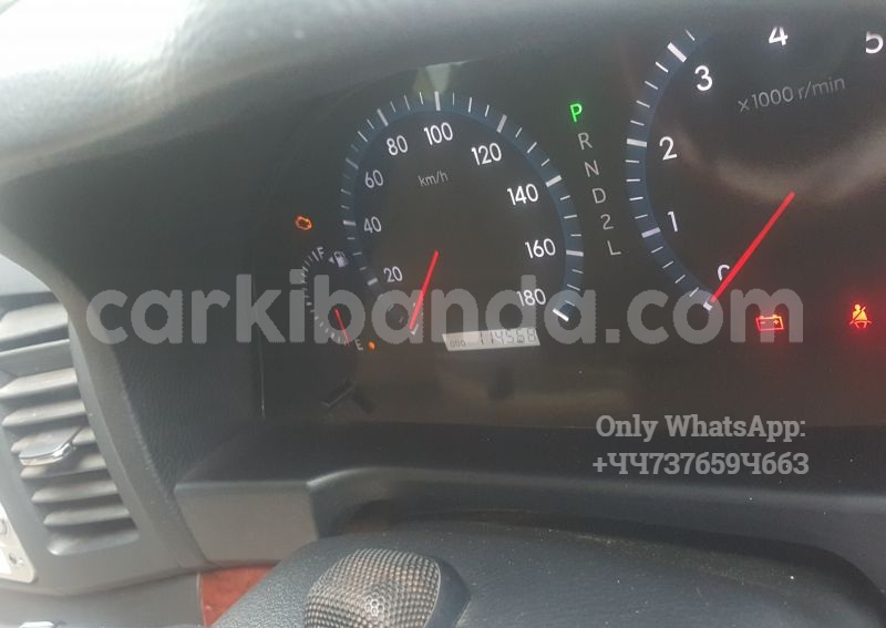 Big with watermark 6