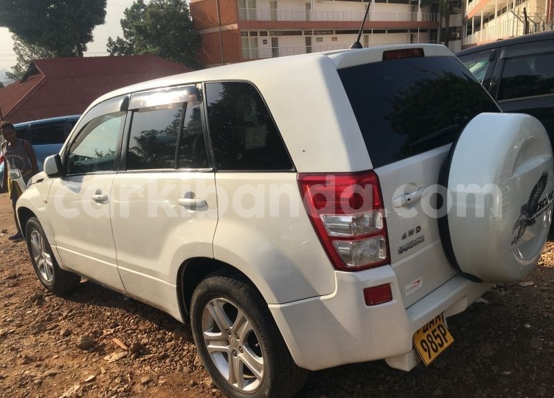 Big with watermark acvb8