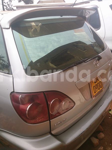 Big with watermark 14316981 10210707138857845 8349215952595816907 n