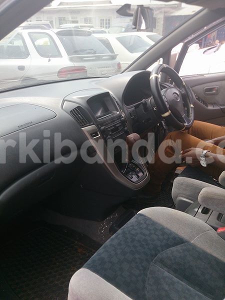 Big with watermark 14344831 10210707138657840 8287266099148065103 n