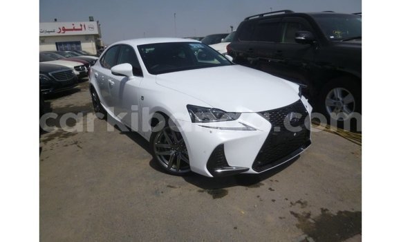 Acheter Import Voiture Lexus IS Blanc à Import - Dubai, Ouganda Acheter Import Voiture Lexus IS Blanc à Import - Dubai, Ouganda