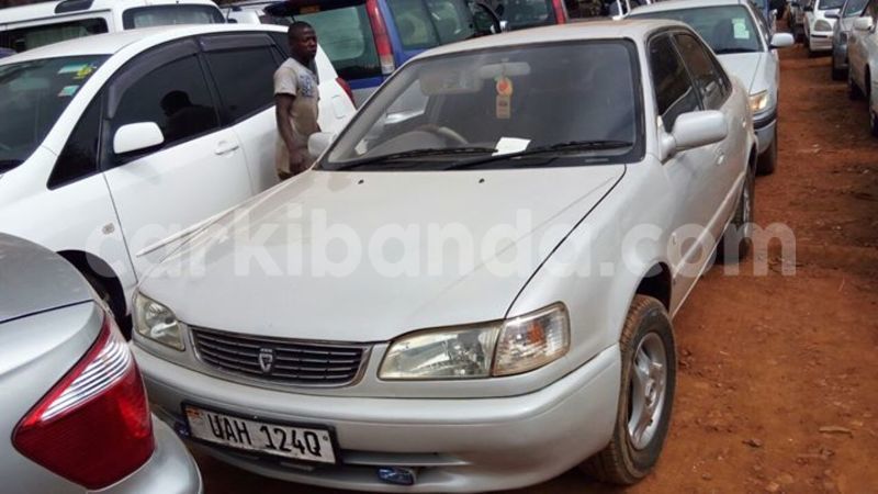 Big with watermark 14138662 1746685915580649 9078383618492148529 o