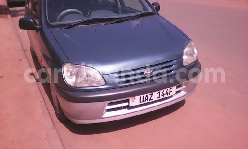 Big with watermark 14138662 1746685915580649 9078383618492148529 o