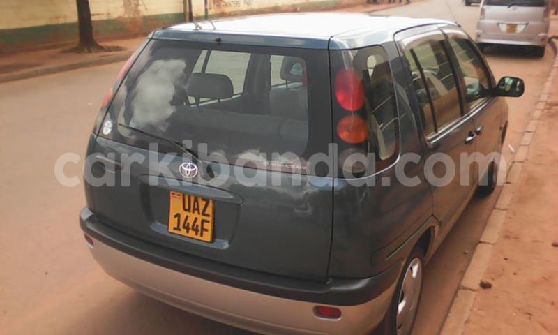 Big with watermark 14316981 10210707138857845 8349215952595816907 n