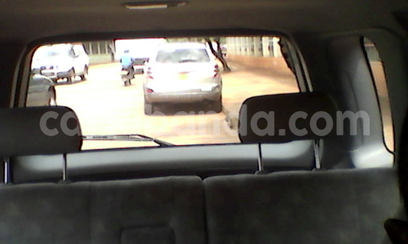 Big with watermark 14368725 10210707138497836 6301935212738049887 n