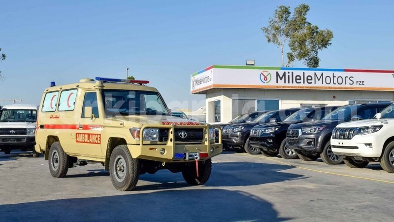 Big with watermark 1