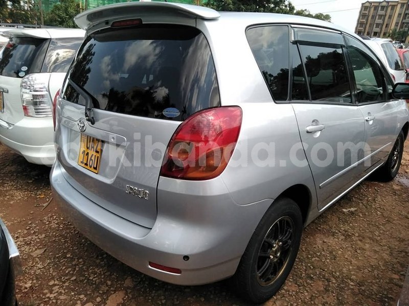 Big with watermark 64914095 1350593975088671 8945756981612773376 n