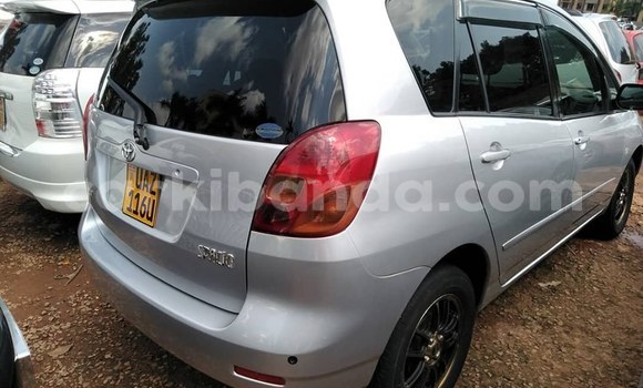 Buy Used Toyota Spacio Silver Car in Kampala in Uganda Buy Used Toyota Spacio Silver Car in Kampala in Uganda