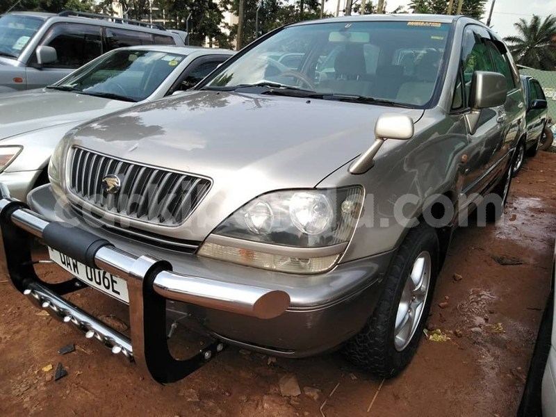 Big with watermark 64607825 1350591118422290 6420970850480029696 n