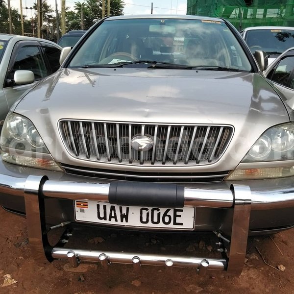 Big with watermark 65312610 1350591085088960 2254232599125819392 n